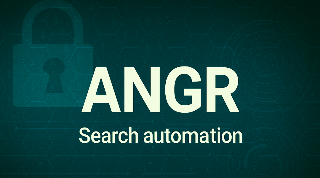 Paranoid Security Автоматизация поиска уязвимостей с помощью angr